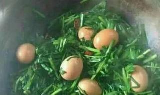 安徽韭菜炒鸡蛋的做法